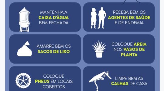 natal dengue