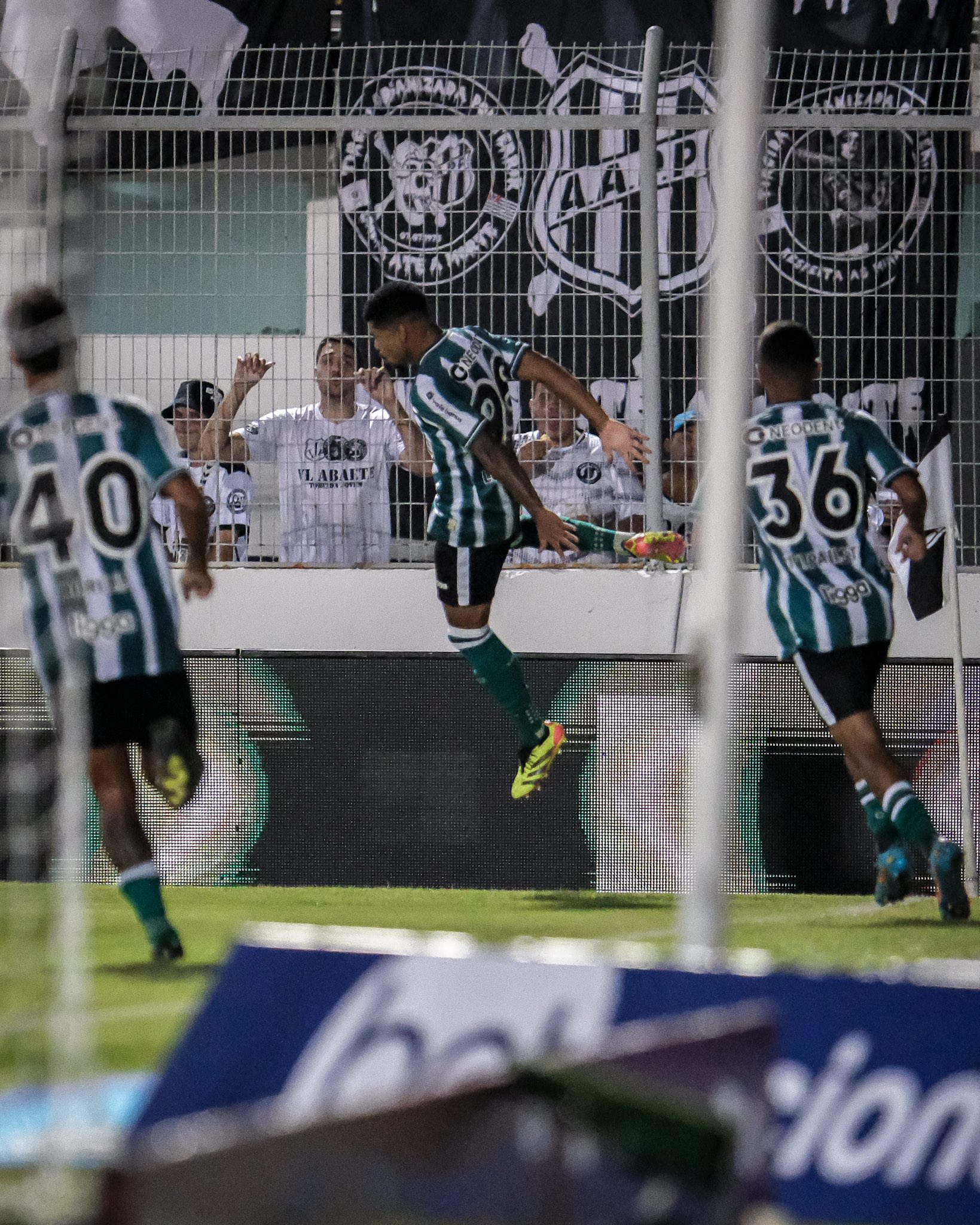 Coxa2
