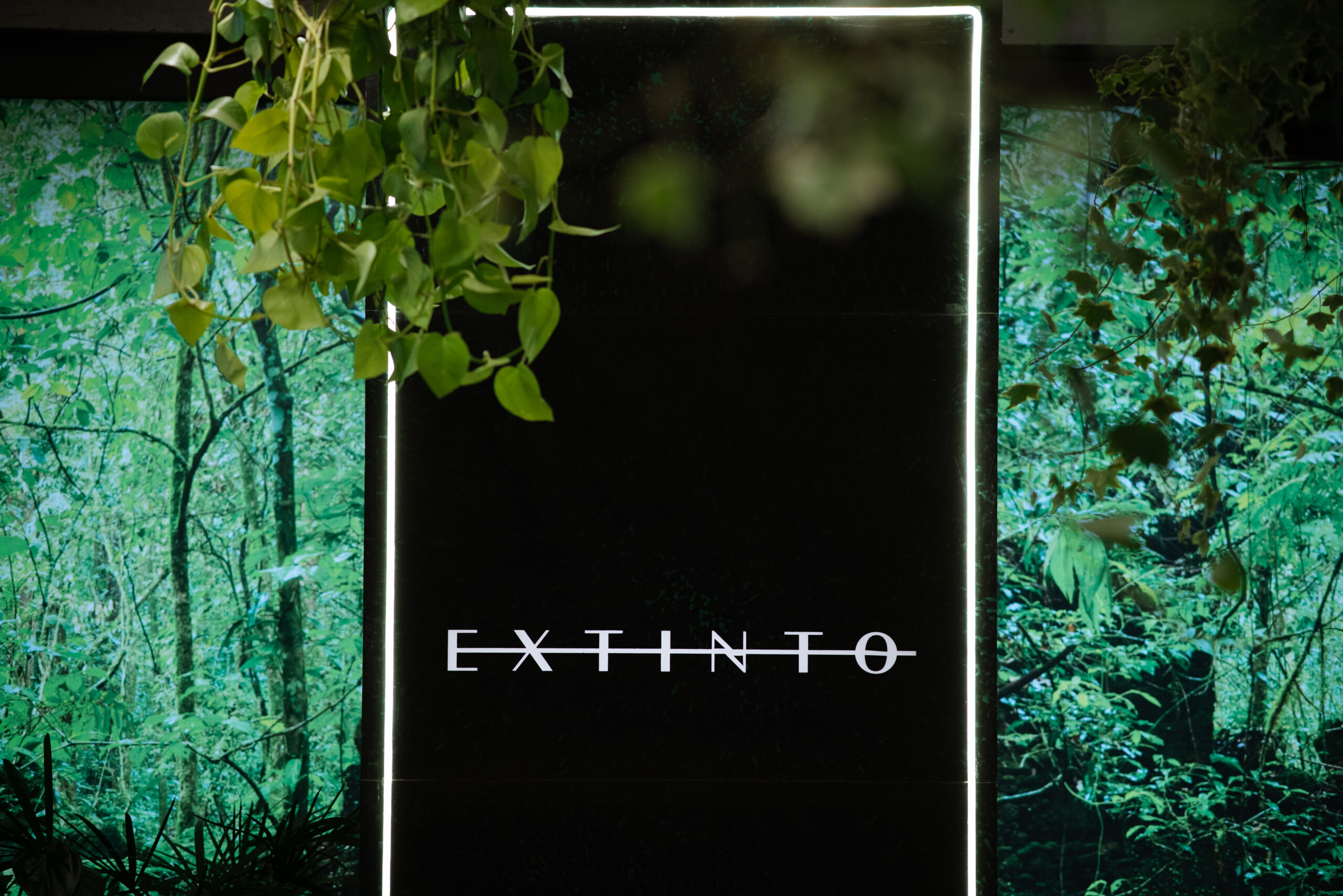 Malbec – Extinto – Café. 08/03/2024 Foto: Brunno Covello