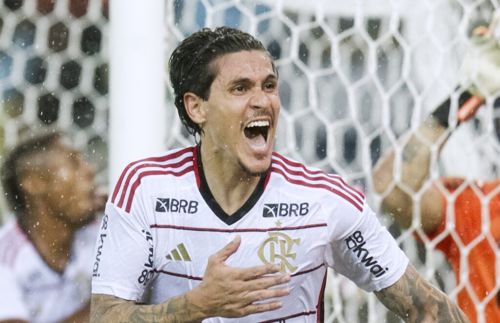 flamengo-botafogo-brasileirao-2024-onde-assistir-horario
