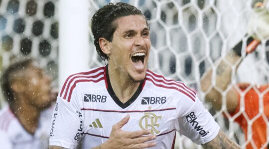 flamengo-botafogo-brasileirao-2024-onde-assistir-horario