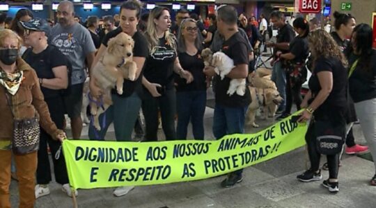 golden-que-morreu-aviao-protesto-800×533