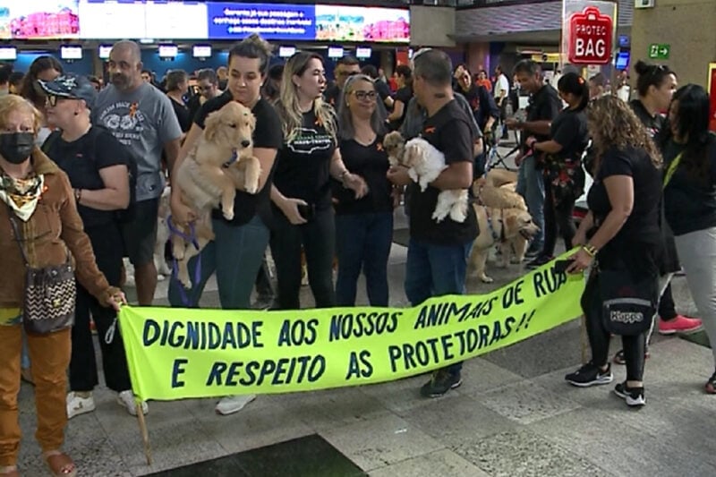 golden-que-morreu-aviao-protesto-800×533