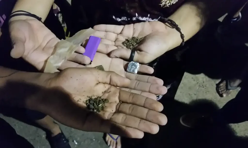 maconha