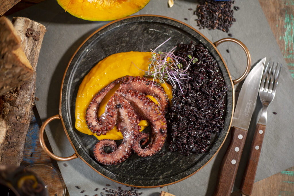 polvo