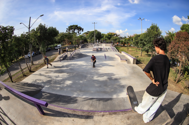 skate2