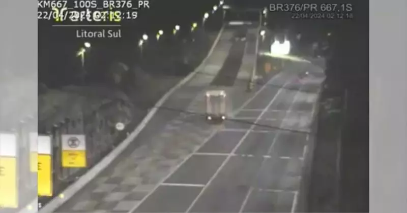 video-motorista-evita-tragedia-ao-usar-area-de-escape-da-br-376-800×420