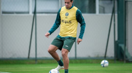 Leandro Damião