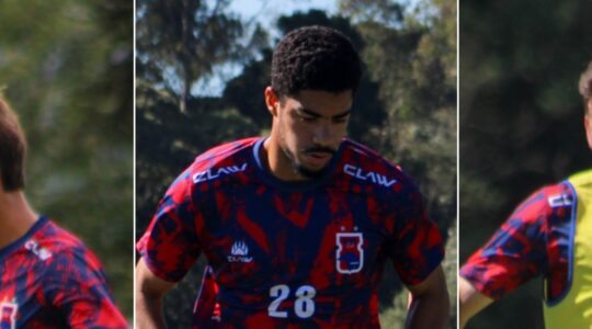 Kayo, Léo Tortura e Vini Roeder