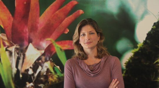 Tatiana Perim