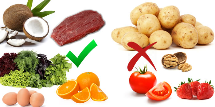 alimentos