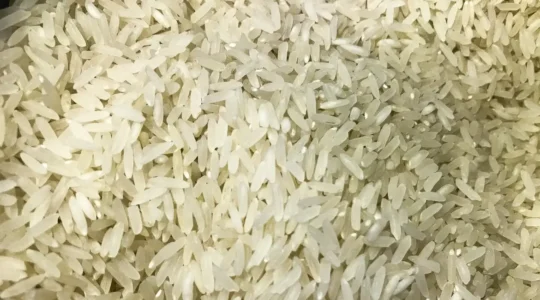 arroz_1009201525