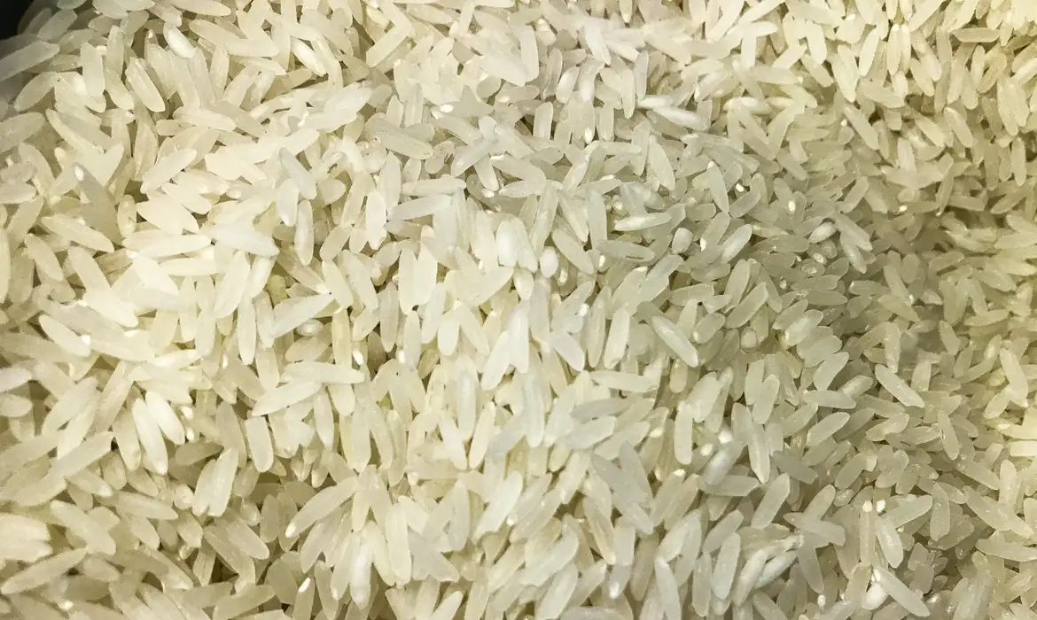 arroz_1009201525