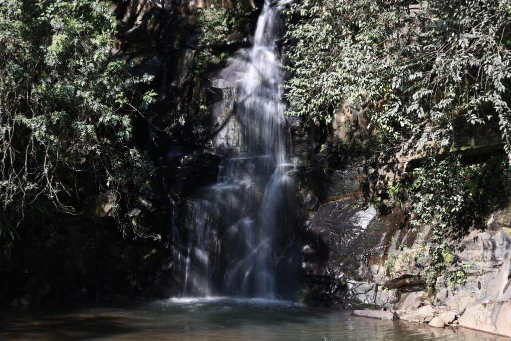 PARQUE VISTA ALEGRE