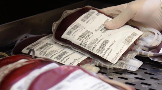 hematologia