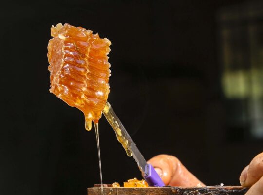 Produção de mel Ortigueira – Pr Gilson Abreu/AEN