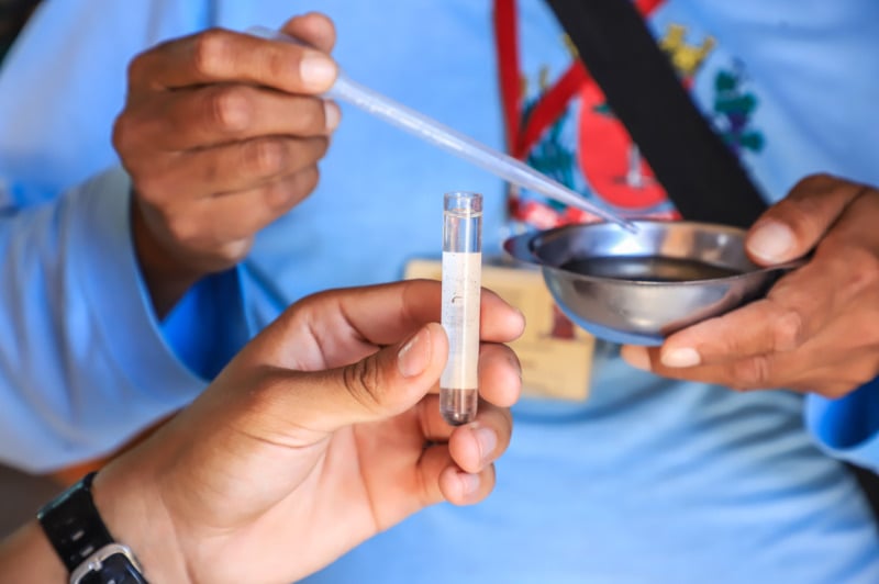 mutirao aedes