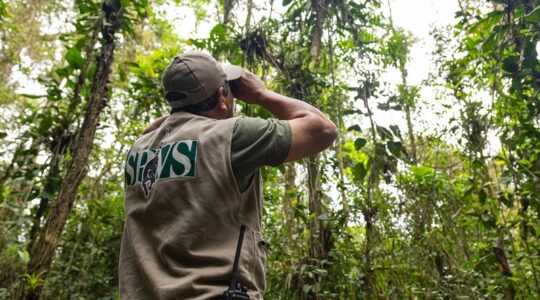 observacao de aves spvs
