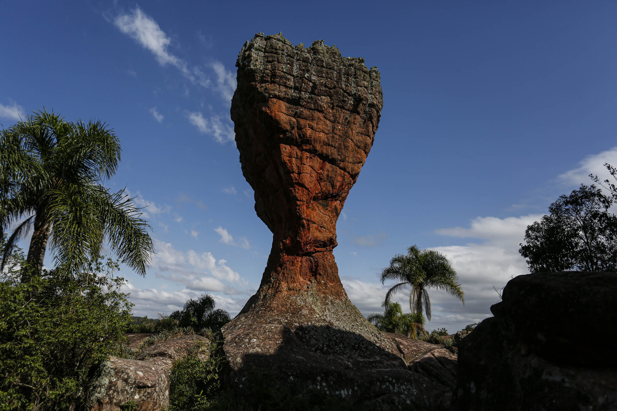 vila velha dia das maes