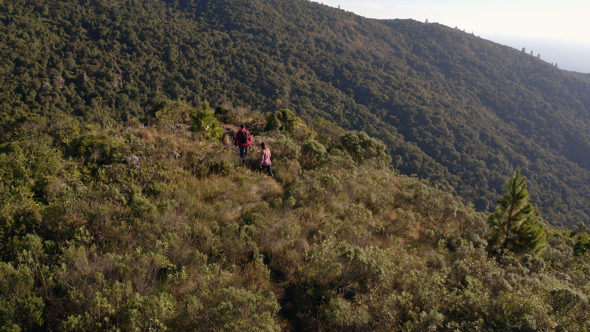 240611 EP 107 Sobrevivencia Extrema Pautas Locais Pico Paraná (PR) 02