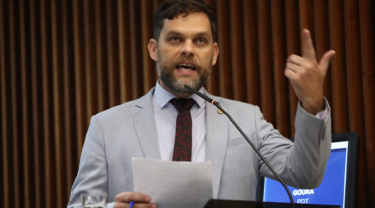 Goura Ducci convite para vice