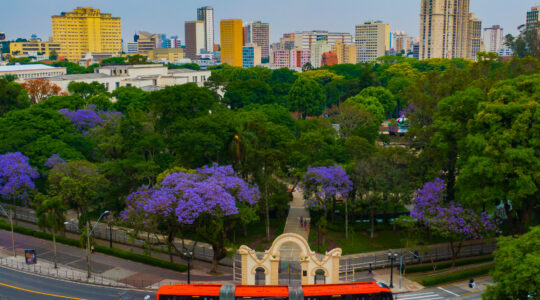PREFEITURA DE CURITIBA