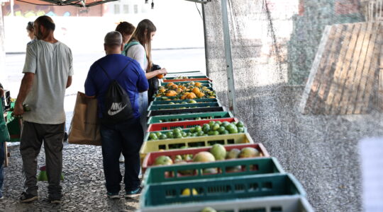 FEIRA LIVRE
