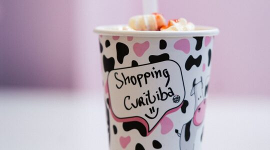 Shopping Curitiba – milkmoo-2_Daniel Shime