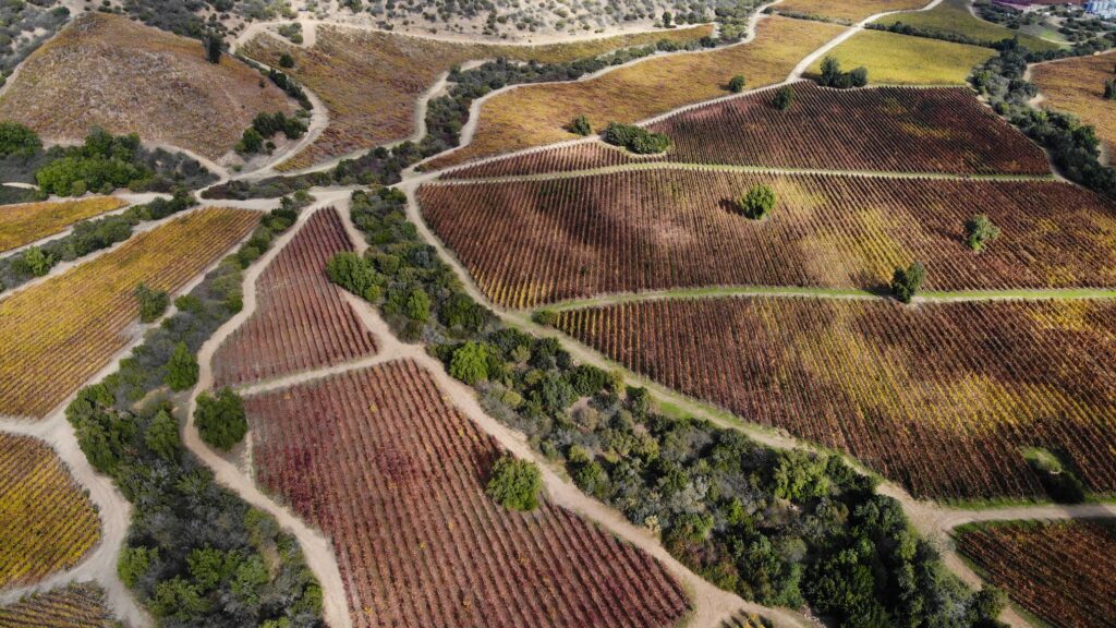 created by dji camera