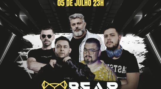 bear dance party musica