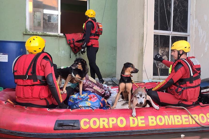 Curso de resposta a desastres preparou bombeiros do Paraná para ação no Rio Grande do Sul