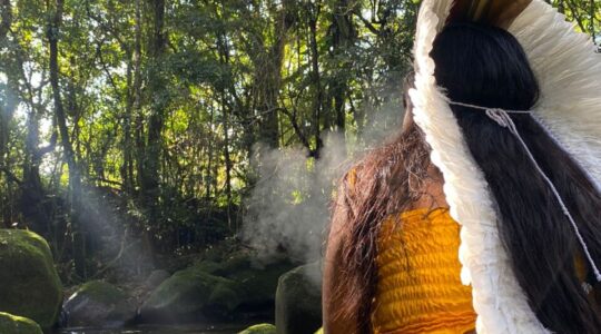 cultura indigena