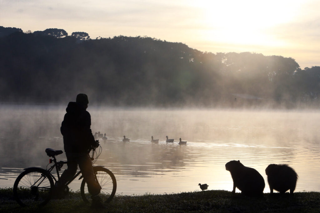 Paraná terá fim de semana com frio e primeiras temperaturas negativas no ano. Confira onde