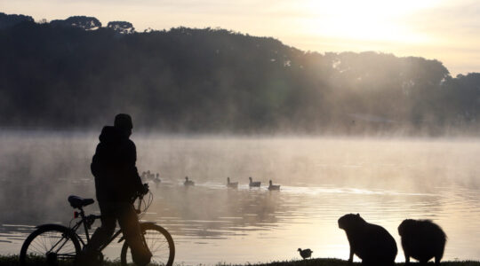 Paraná terá fim de semana com frio e primeiras temperaturas negativas no ano. Confira onde