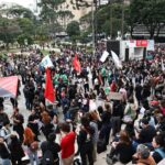 manifestacao