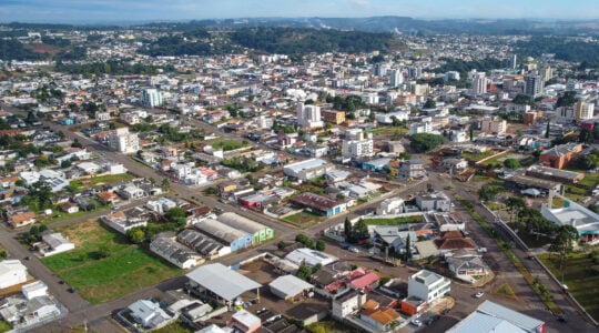 palmas_foto_rdziura-0156