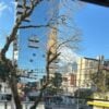 Segunda chega gelada a Curitiba, mas frio já começa a perder força no Paraná.