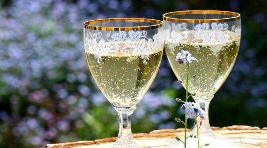sparkling-wine-736773_1920