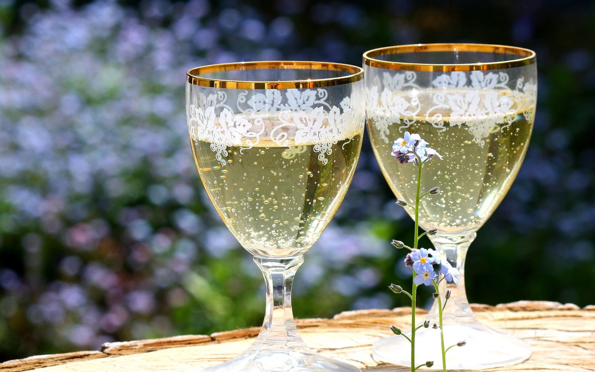 sparkling-wine-736773_1920