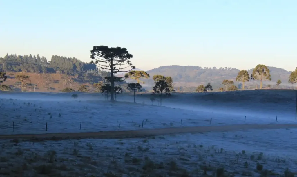 urupema_frio03