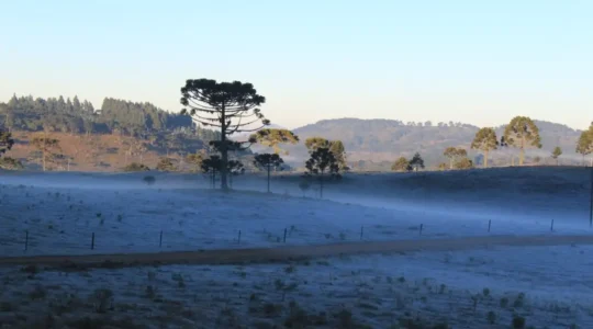 urupema_frio03