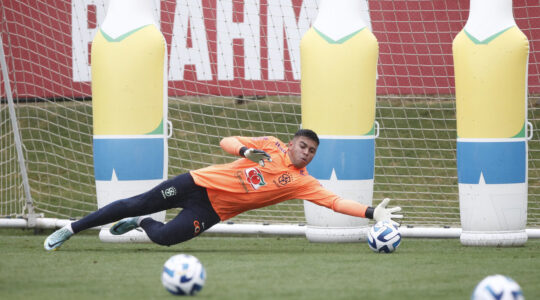 O goleiro Mycael pela seleção brasileira