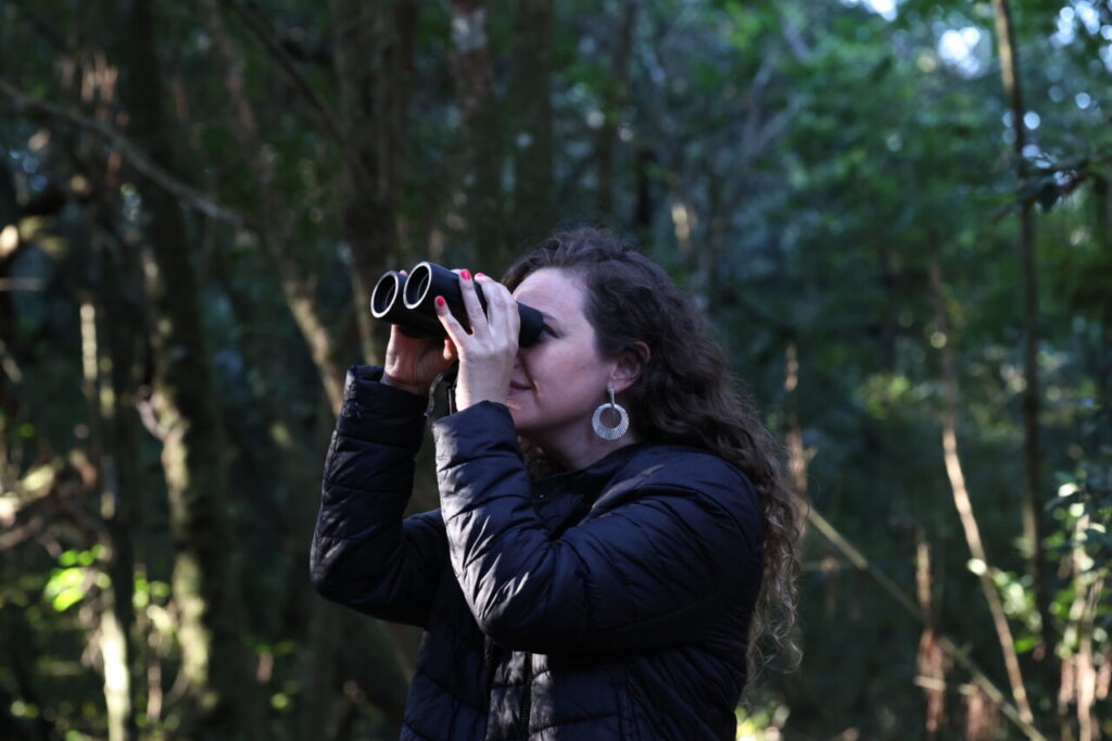 CIDADES-AVES-FRANKLIN-2