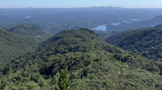 Morro Getúlio (Foto_ Arquivo Bem Paraná)