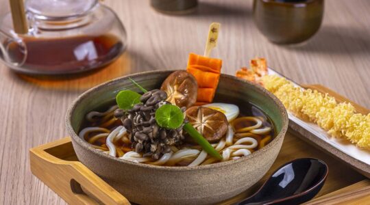 Udon – foto Rodrigo Pierrot (1)