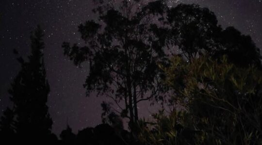 Chuva de meteoros e cometas poderão ser vistos no céu em julho. Confira a lista de fenômenos