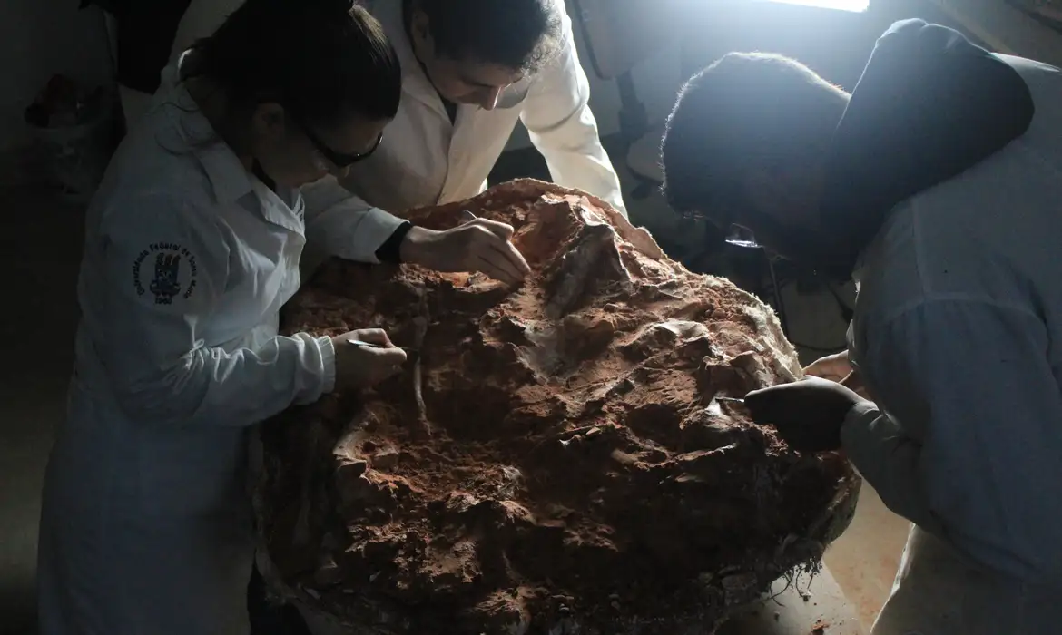 fossil de dino