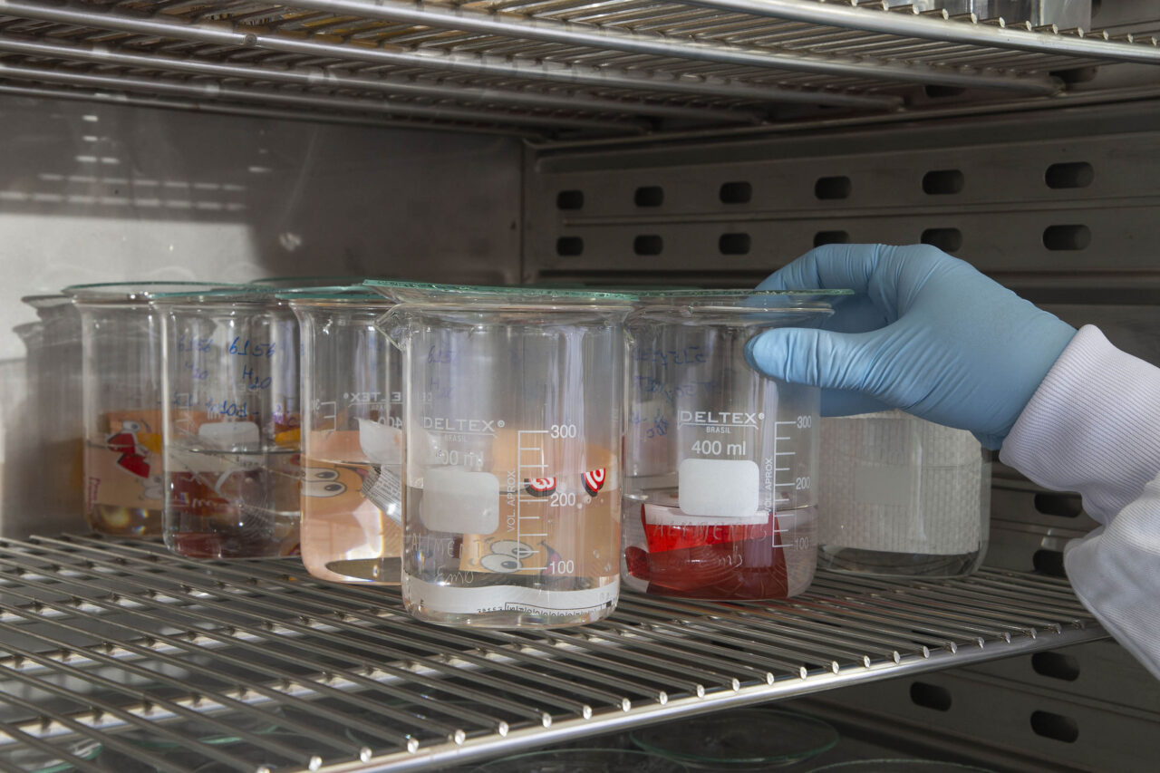 lab-embalagens-025
