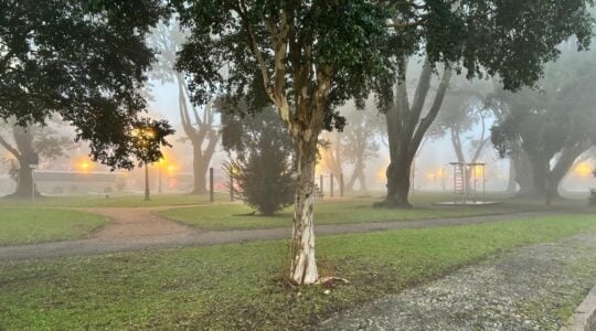 neblina curitiba5