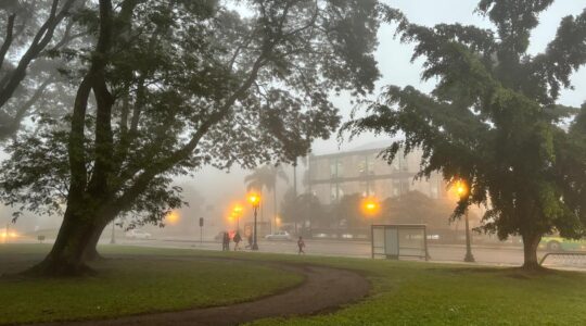 neblina curitiba7